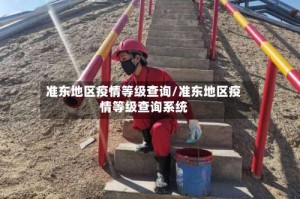 准东地区疫情等级查询/准东地区疫情等级查询系统