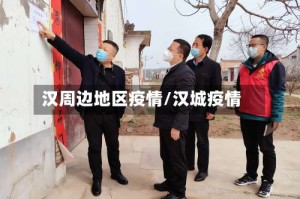 汉周边地区疫情/汉城疫情