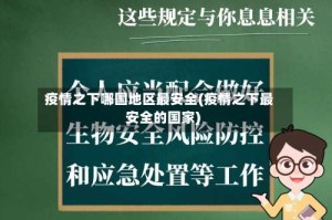 疫情之下哪国地区最安全(疫情之下最安全的国家)