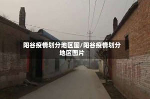 阳谷疫情划分地区图/阳谷疫情划分地区图片