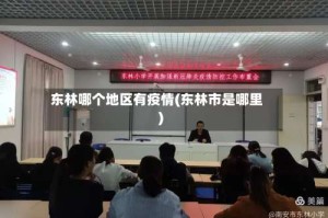 东林哪个地区有疫情(东林市是哪里)