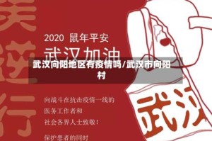 武汉向阳地区有疫情吗/武汉市向阳村