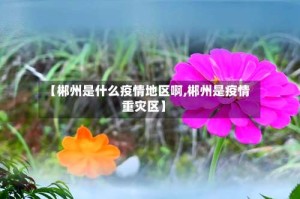 【郴州是什么疫情地区啊,郴州是疫情重灾区】