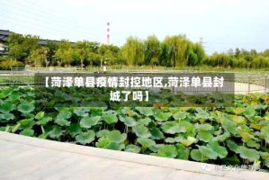 【菏泽单县疫情封控地区,菏泽单县封城了吗】