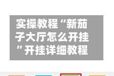 实操教程“新茄子大厅怎么开挂”开挂详细教程