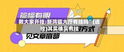 教大家开挂:新鸿狐大厅有挂吗”(透视)其实确实有挂-第1张图片