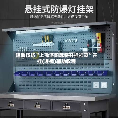 辅助技巧“上豫洛阳麻将开挂神器”开挂(透视)辅助教程-第2张图片