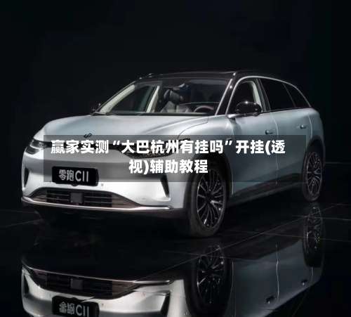 赢家实测“大巴杭州有挂吗”开挂(透视)辅助教程-第2张图片