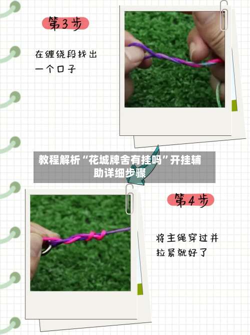 教程解析“花城牌舍有挂吗	”开挂辅助详细步骤-第3张图片