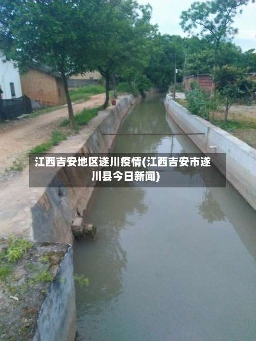 江西吉安地区遂川疫情(江西吉安市遂川县今日新闻)-第1张图片