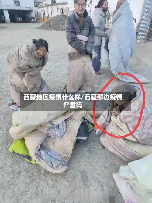 西藏地区疫情什么样/西藏那边疫情严重吗-第2张图片