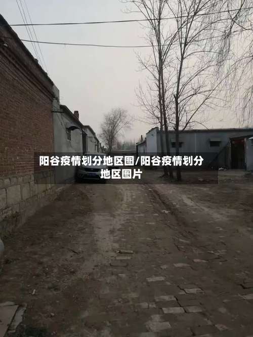 阳谷疫情划分地区图/阳谷疫情划分地区图片-第2张图片