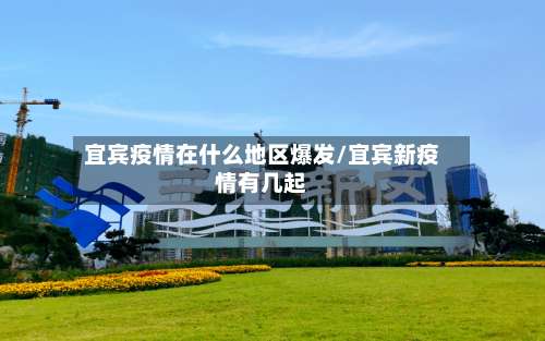 宜宾疫情在什么地区爆发/宜宾新疫情有几起-第2张图片