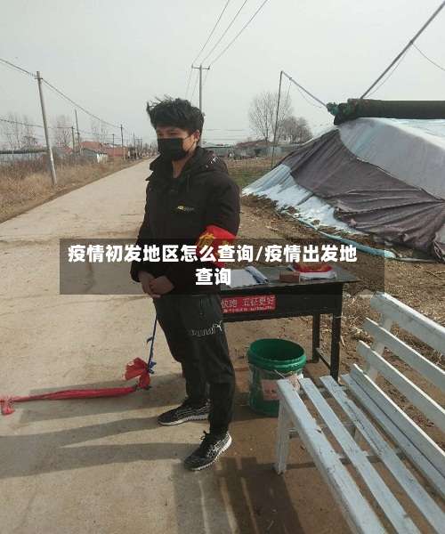 疫情初发地区怎么查询/疫情出发地查询-第2张图片