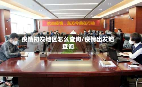 疫情初发地区怎么查询/疫情出发地查询-第3张图片
