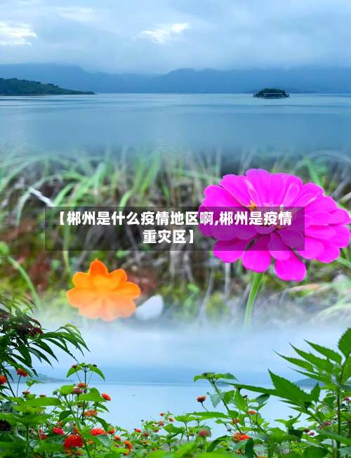 【郴州是什么疫情地区啊,郴州是疫情重灾区】-第1张图片