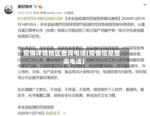 疫情详情地区查询电话(疫情信息查询电话)-第2张图片