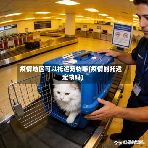 疫情地区可以托运宠物嘛(疫情能托运宠物吗)-第3张图片