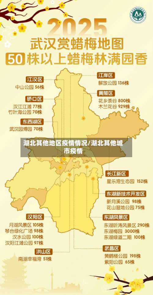 湖北其他地区疫情情况/湖北其他城市疫情-第2张图片