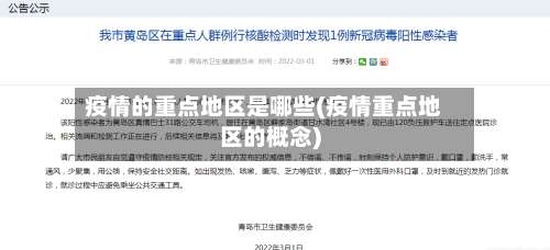 疫情的重点地区是哪些(疫情重点地区的概念)-第2张图片