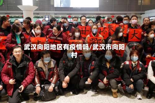 武汉向阳地区有疫情吗/武汉市向阳村-第2张图片