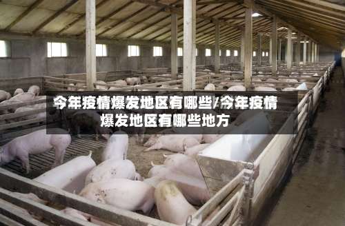 今年疫情爆发地区有哪些/今年疫情爆发地区有哪些地方-第2张图片