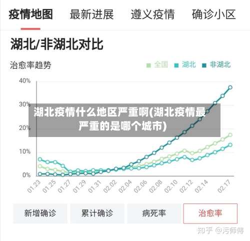 湖北疫情什么地区严重啊(湖北疫情最严重的是哪个城市)-第1张图片