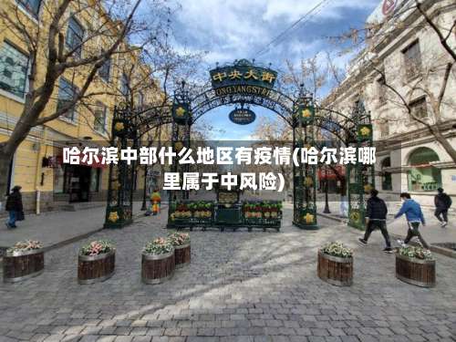 哈尔滨中部什么地区有疫情(哈尔滨哪里属于中风险)-第2张图片