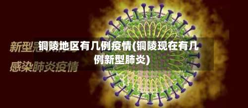 铜陵地区有几例疫情(铜陵现在有几例新型肺炎)-第2张图片