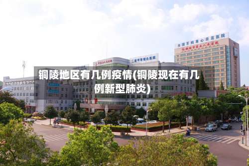 铜陵地区有几例疫情(铜陵现在有几例新型肺炎)-第1张图片