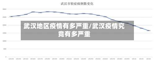 武汉地区疫情有多严重/武汉疫情究竟有多严重-第2张图片