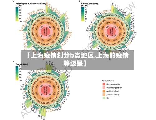【上海疫情划分b类地区,上海的疫情等级是】-第1张图片