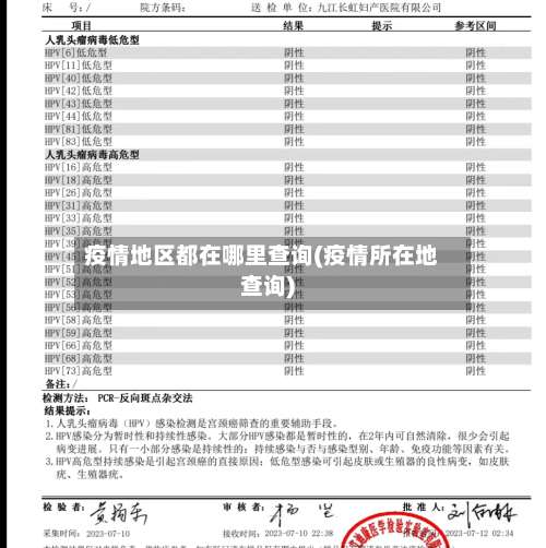 疫情地区都在哪里查询(疫情所在地查询)-第2张图片