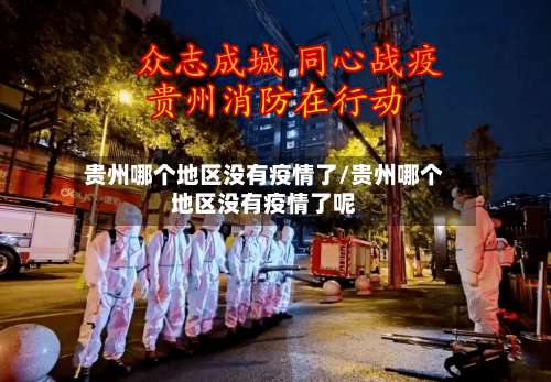 贵州哪个地区没有疫情了/贵州哪个地区没有疫情了呢-第3张图片