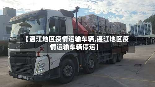 【湛江地区疫情运输车辆,湛江地区疫情运输车辆停运】-第1张图片