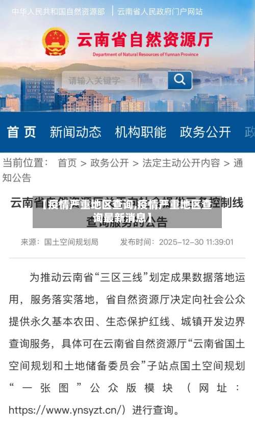 【疫情严重地区查询,疫情严重地区查询最新消息】-第3张图片