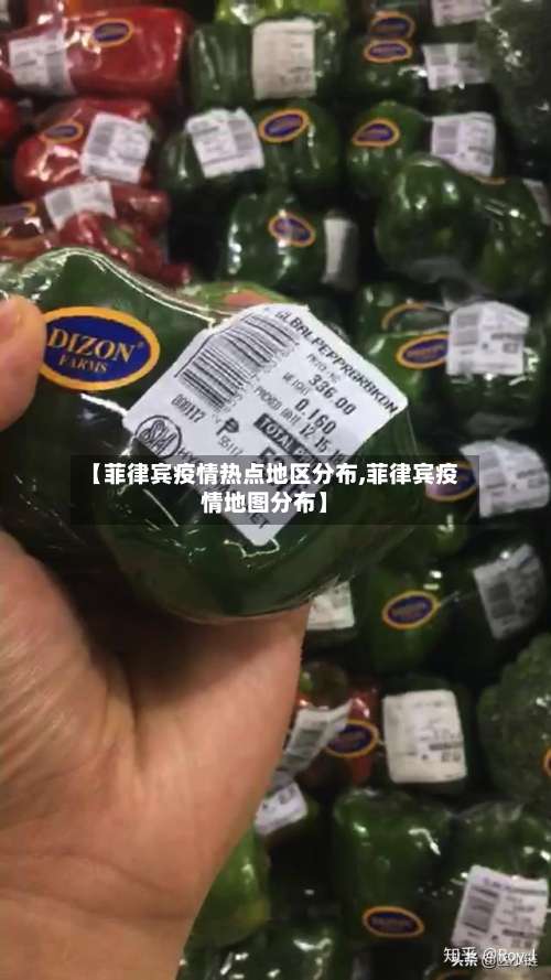 【菲律宾疫情热点地区分布,菲律宾疫情地图分布】-第1张图片