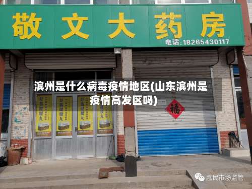 滨州是什么病毒疫情地区(山东滨州是疫情高发区吗)-第3张图片