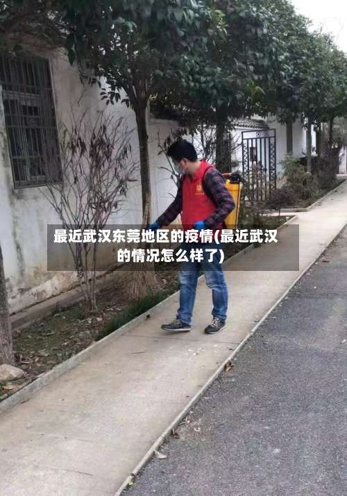 最近武汉东莞地区的疫情(最近武汉的情况怎么样了)-第3张图片